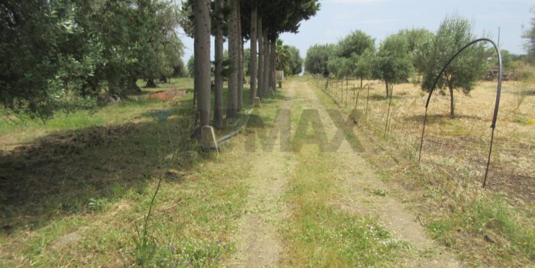 2025062482129-959999-50