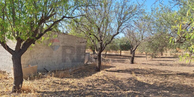 20250626120618-962352-0