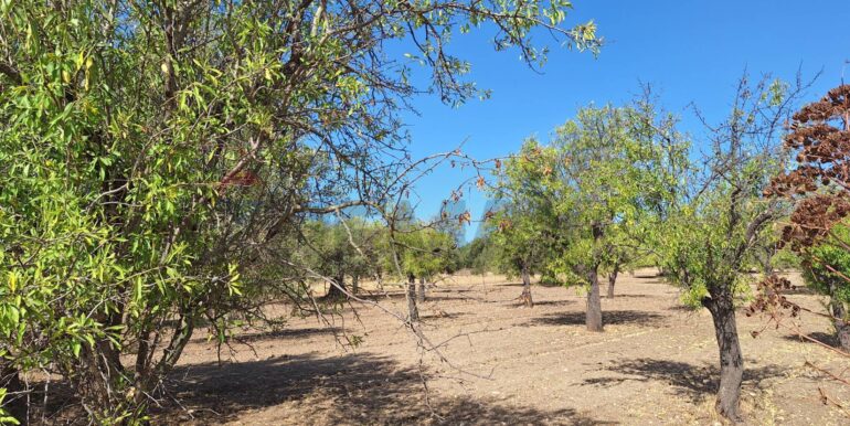 20250626120619-962352-1