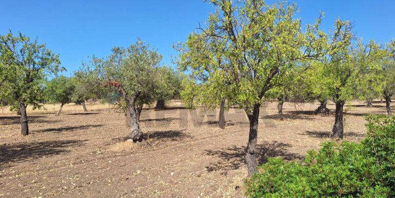 20250626120619-962352-2