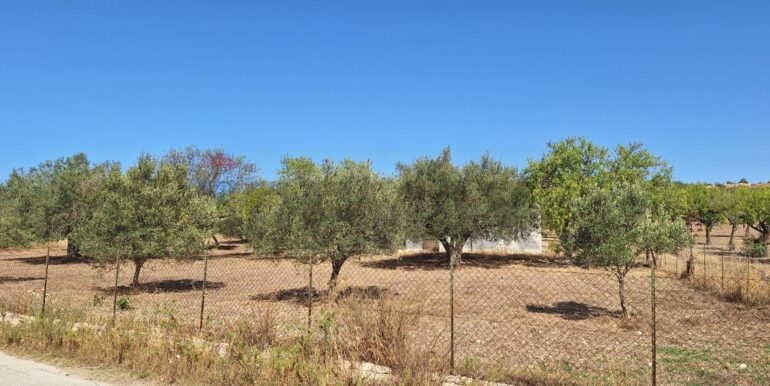 20250626120619-962352-3