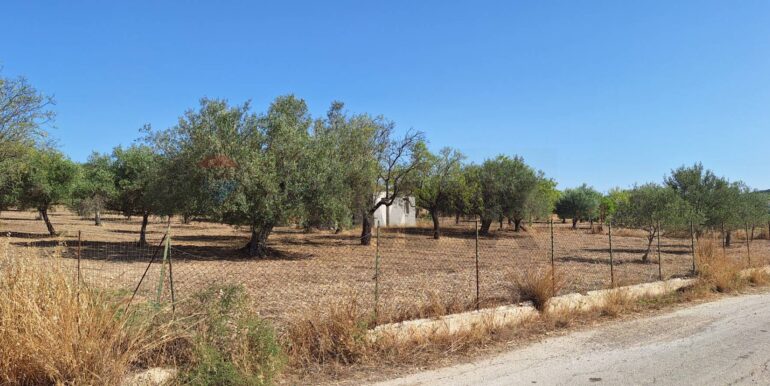 20250626120620-962352-5