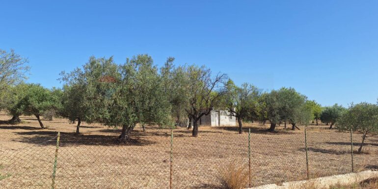 20250626120620-962352-6