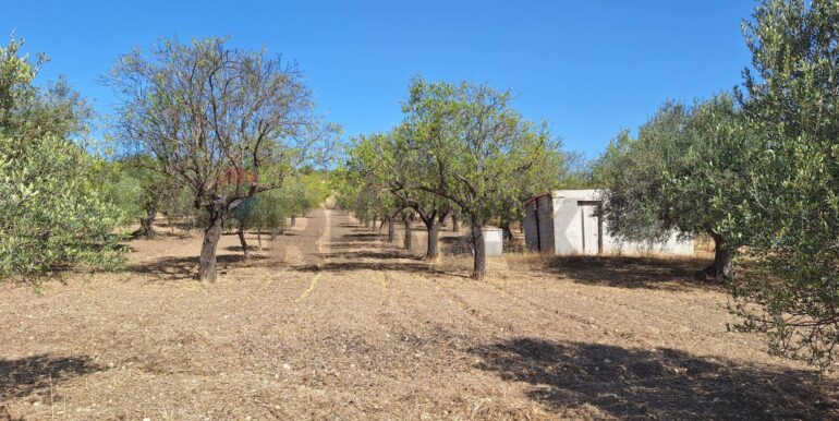 20250626120620-962352-7