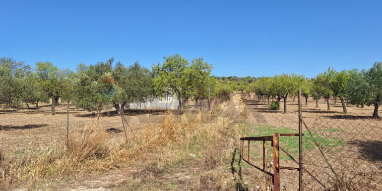 20250626120620-962352-8