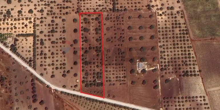 20250626120621-962352-10