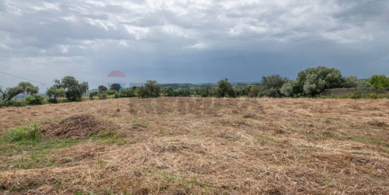 20250626154158-944845-6