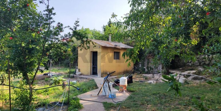 20250703173228-964733-9