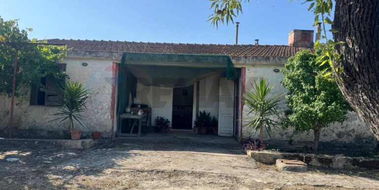 2025070395612-964325-1