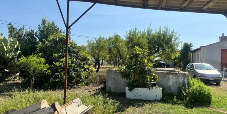 2025070395613-964325-2