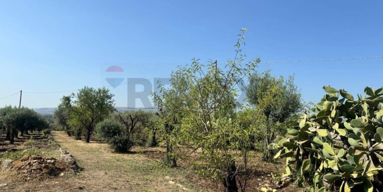 2025070395621-964325-6