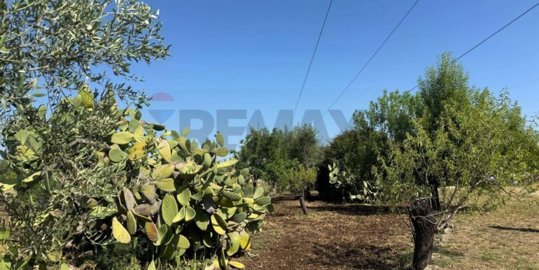 2025070395623-964325-7