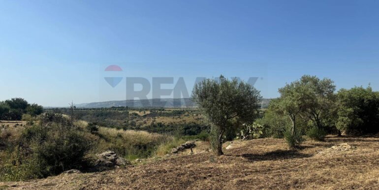 2025070395624-964325-8