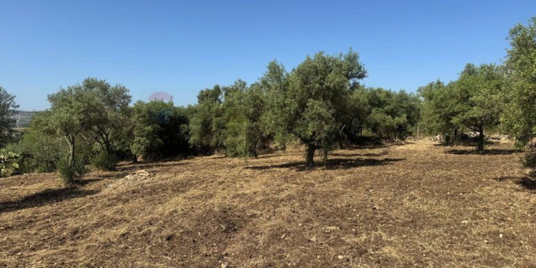 2025070395626-964325-9