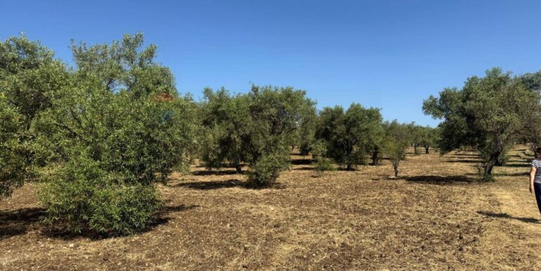 2025070395628-964325-10