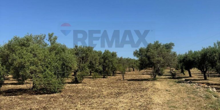 2025070395735-964325-16