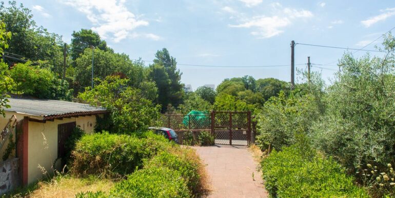 2025070470838-964869-8