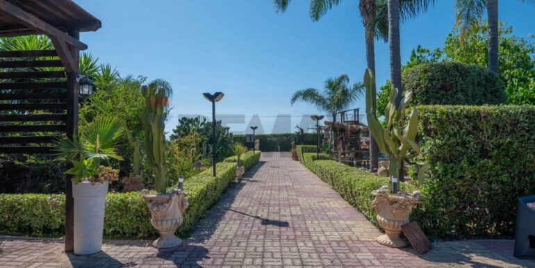 2025070475515-964870-26