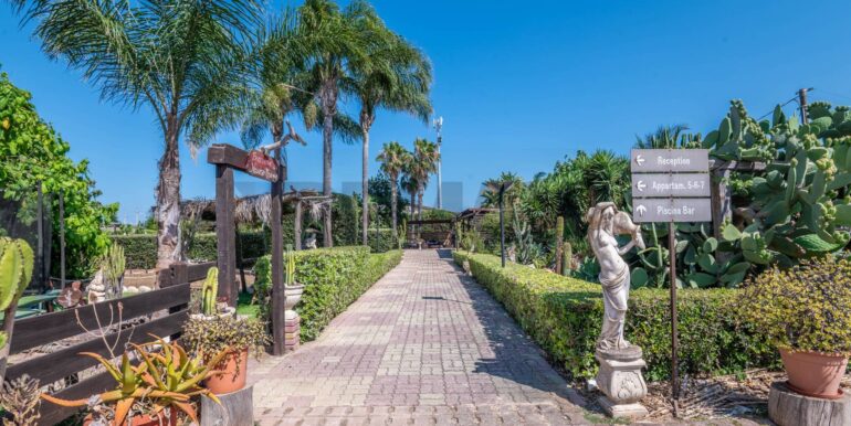 2025070475524-964870-29