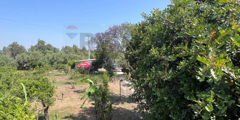 20250706202019-965370-4