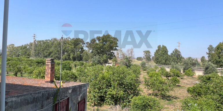 20250706202022-965370-5