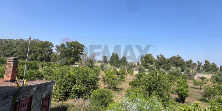 20250706202025-965370-6