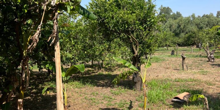 20250706202032-965370-8