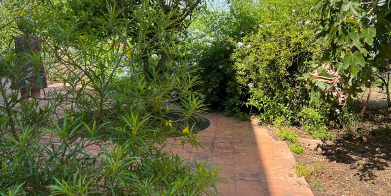 20250706202035-965370-9