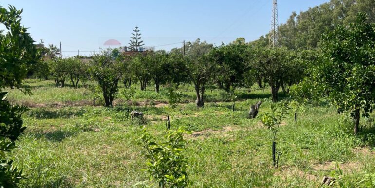 20250706202055-965370-16