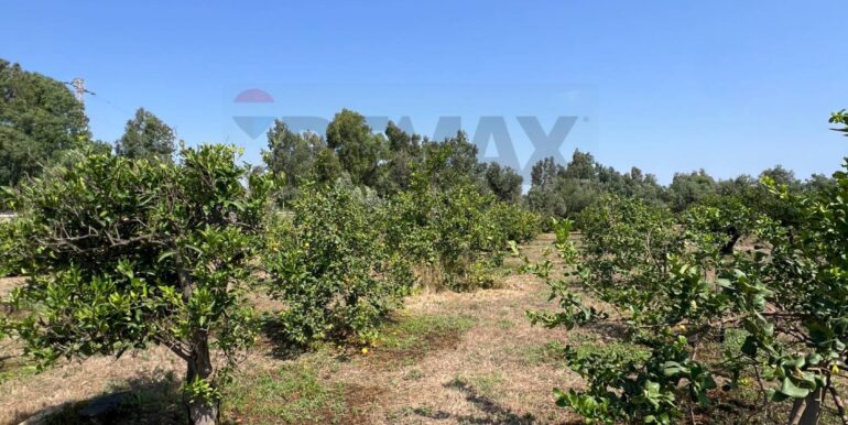 20250706202101-965370-18