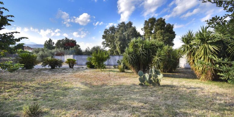 20250707120329-964061-1