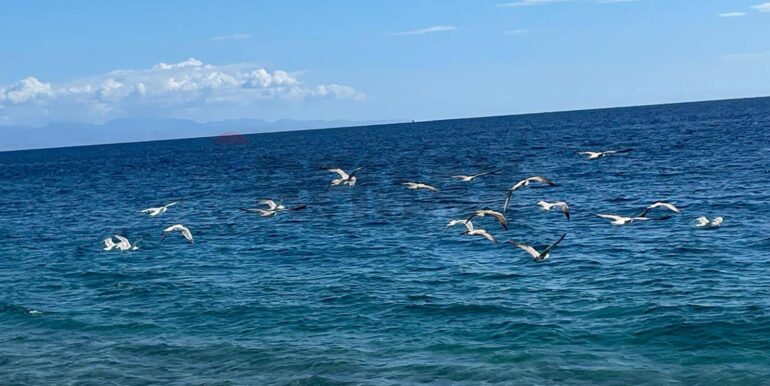 20250707183137-965556-19