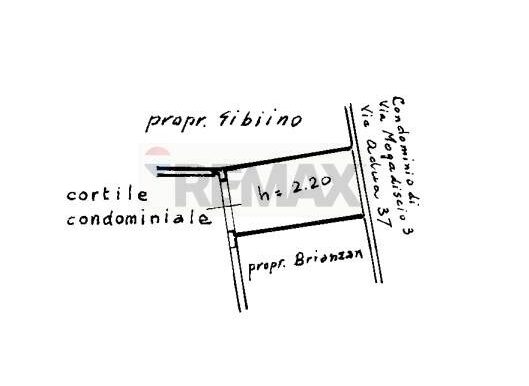 2025070784049-958296-12