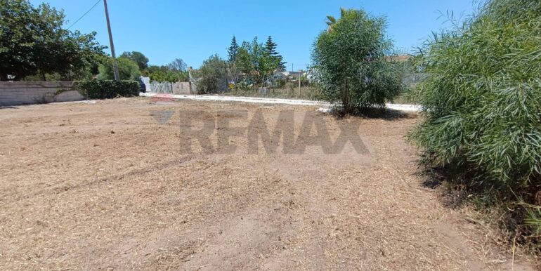 20250708100203-965676-6