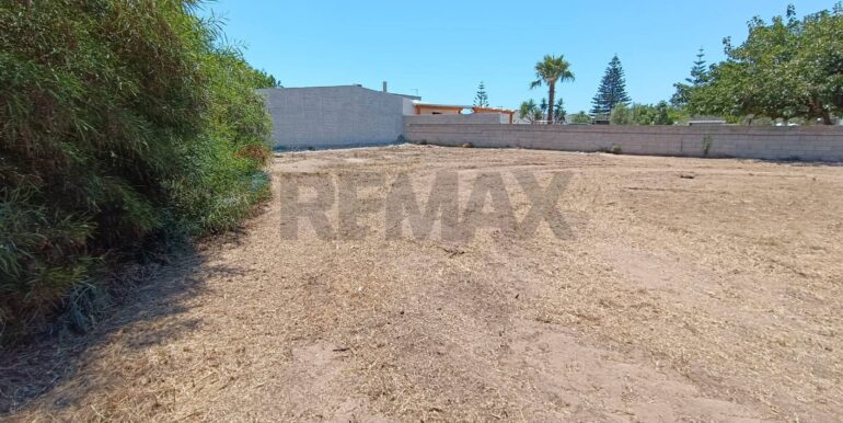 20250708100205-965676-7