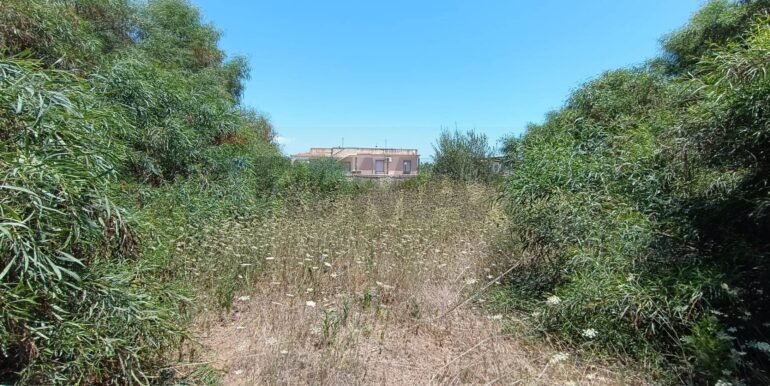 20250708100213-965676-9