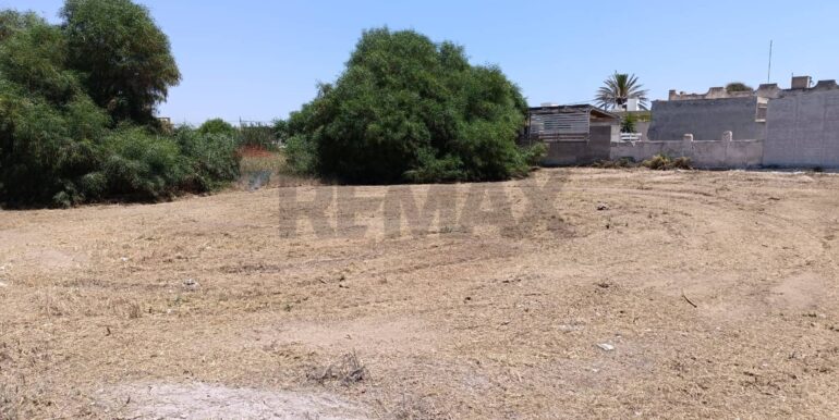 20250708100219-965676-11