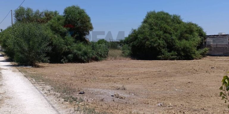 20250708100226-965676-13