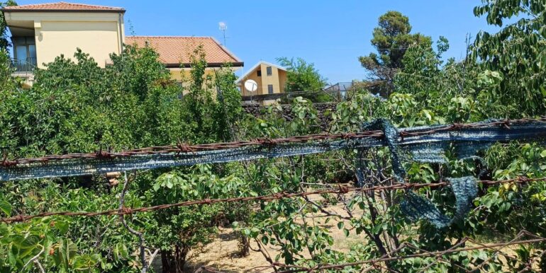 20250708120557-965733-1