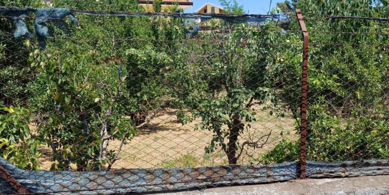 20250708120601-965733-2