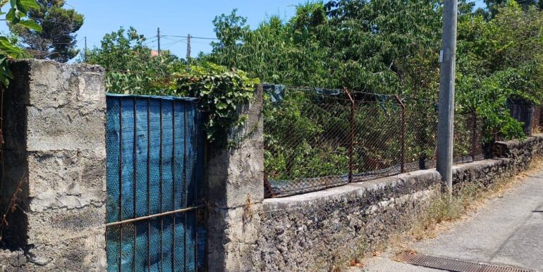 20250708120607-965733-4