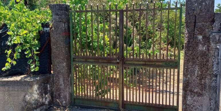 20250708120612-965733-6