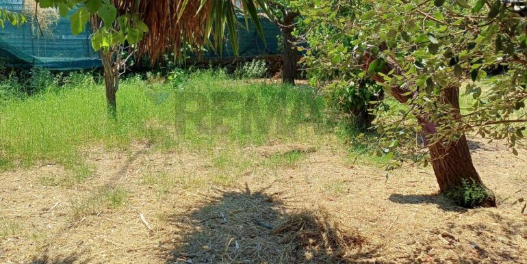 20250708120615-965733-7