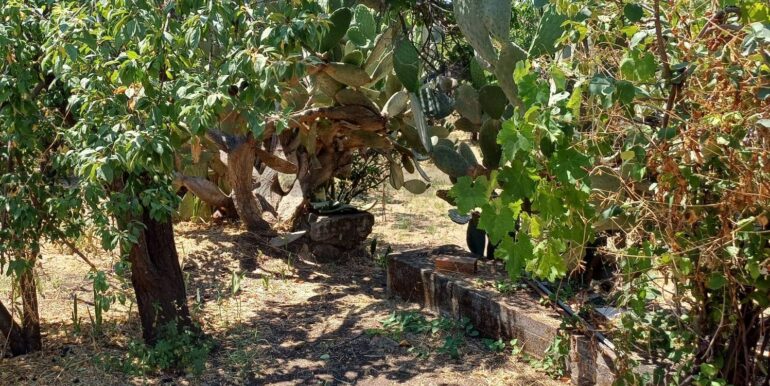 20250708120622-965733-9