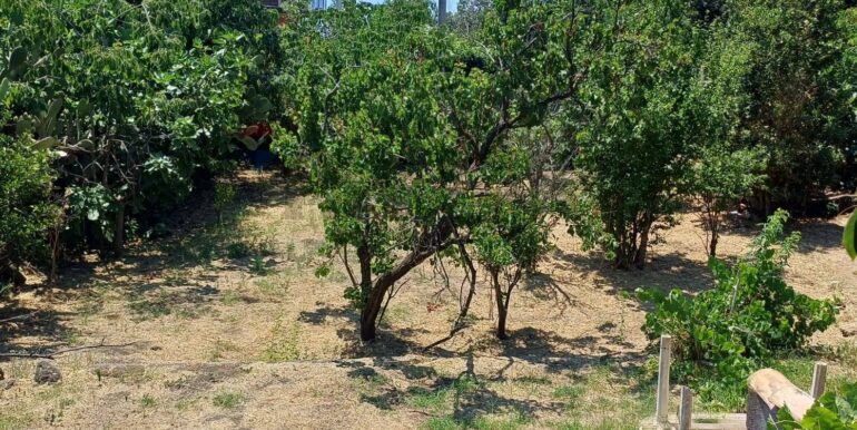 20250708120632-965733-12