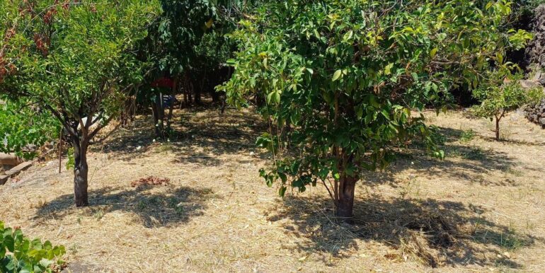 20250708120636-965733-13