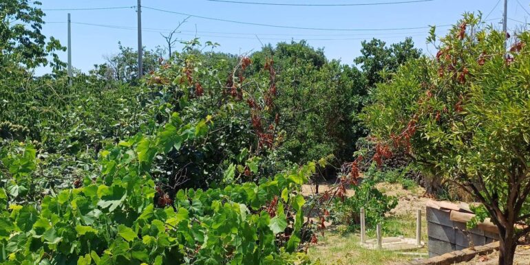 20250708120643-965733-15