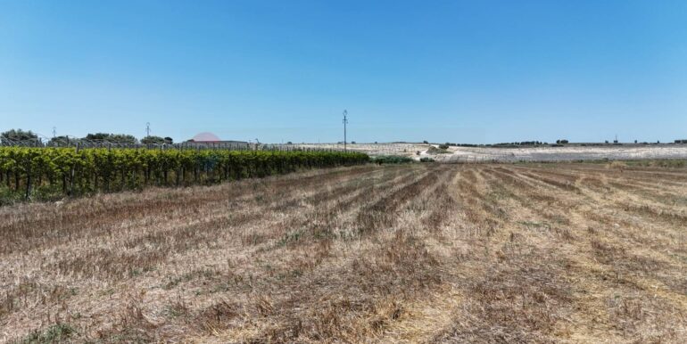 20250710141118-910405-17