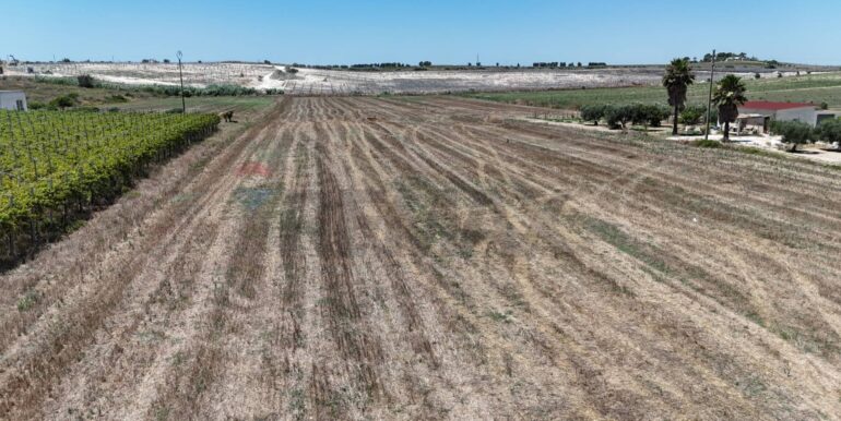 20250710141122-910405-18