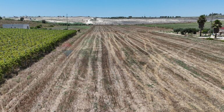 20250710141130-910405-19